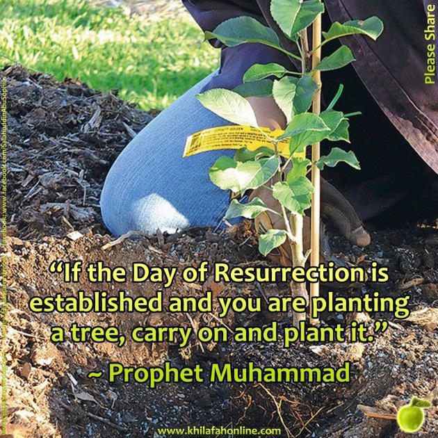 prophet-muhammad-carry-on-and-plant-the-tree.jpg
